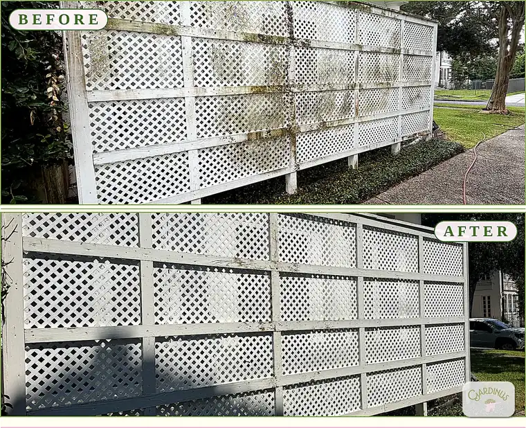 Before and after of a white lattice privacy screen: at top, heavy green moss and black staining across the slats; below, the lattice washed back to clean white.