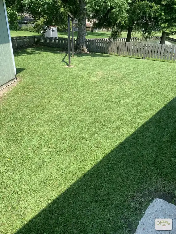 A wide fenced backyard mowed to an even height, running back toward mature trees and a pond beyond the fence line.