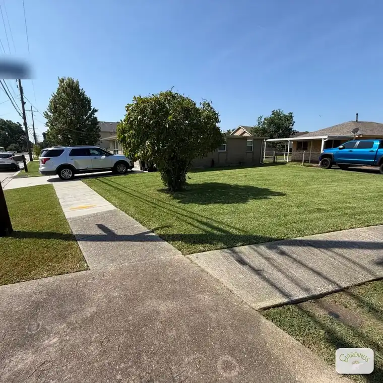 A corner-lot front lawn cut short and evenly, with crisp edges along both sidewalks and a shade tree in the center.
